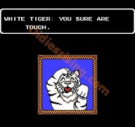 une photo d'Ã©cran de Circus Caper sur Nintendo Nes
